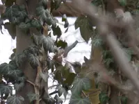 P1260316.webp