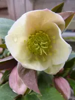 P1260420.webp