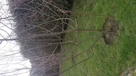 DSC_0196.jpg