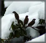 comp_DSC02879.webp