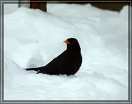 comp_DSC02872.webp