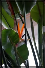 comp_DSC02868.webp