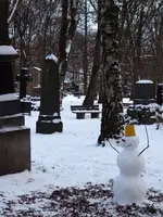 P1000911.webp