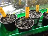 DSCN4750.webp