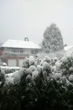 IMG-20170114-WA0007.webp