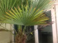 Photo 15.01.17 19 35.09.webp