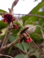 P1260456.webp