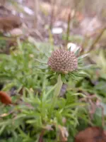 P1260471.webp