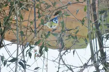 DSCF8438 (2).webp