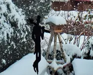 schneefeger.webp