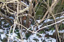 100_3335.webp 100_3335.webp