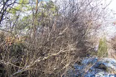 100_3338.jpg