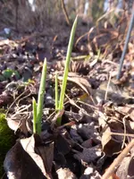 P1260615.webp
