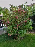 DSC05610.webp