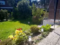 Frühjahr 2016 Terrassenbeet blühend.jpg