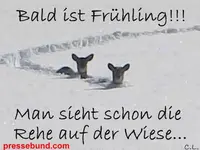 IMG-20170113-WA0002.webp