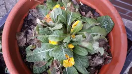 20170121_110820.jpg