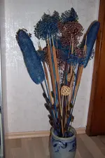 lauch.webp