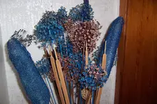 100_3362.webp