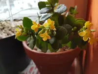 20170123_124612.webp