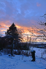 DSC_9046.webp