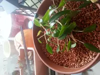 20170124_121836.webp