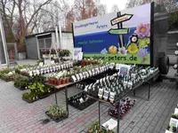 P1040590.webp