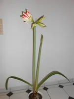 DSCN4754.jpg