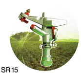 Portrait SR 15g.webp