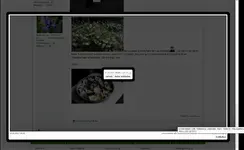 Screenshot (102).webp Screenshot (102).webp