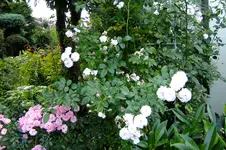 2016_0916sept160001.webp