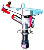 SR 15g.jpg