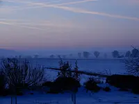 DSCN0803.webp