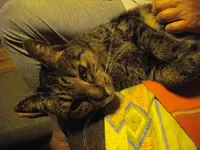 IMGP4467.webp
