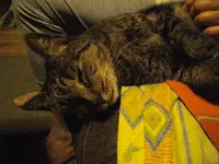 IMGP4468.webp