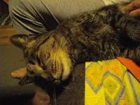 IMGP4469.webp