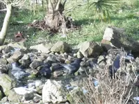P1000177.webp