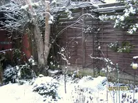 IMG_7252.webp
