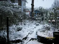 IMG_7257.webp