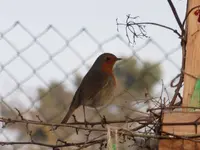 P1270170.webp