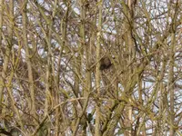 P1270180.webp