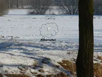 P1000217.webp