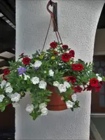 DSC05834.webp