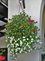 DSC07609.webp