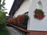 Herold Mühle Rundgang Ende August 2015 069.webp