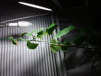 20170129_183854.webp