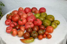 IMG_2060b.webp