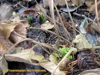 IMG_7266.webp