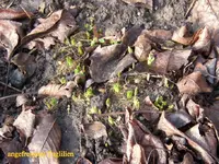 IMG_7270.webp