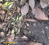 IMG_7277.webp